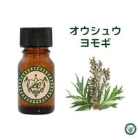 オウシュウヨモギ　マグワート　精油 エッセンシャルオイル