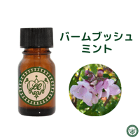 バームミントブッシュ　精油 エッセンシャルオイル
