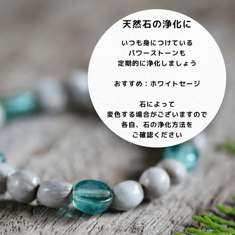 浄化スプレー 100ml
