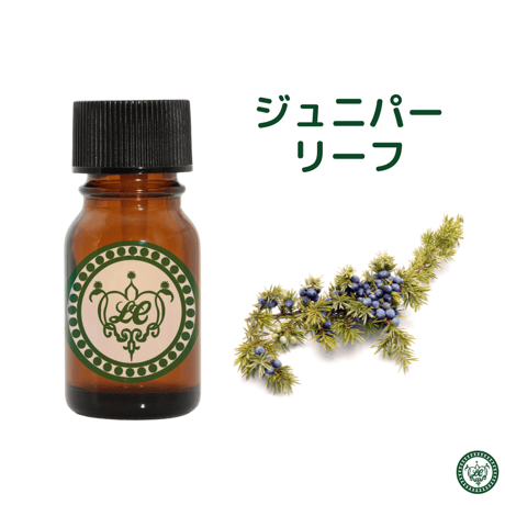 ジュニパーリーフ　精油 エッセンシャルオイル　オーガニック