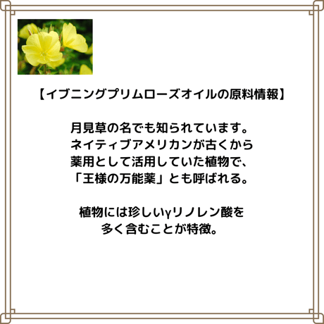 イブニングプリムローズ 月見草オイル 未精製　オーガニック