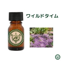ワイルドタイム　精油 エッセンシャルオイル