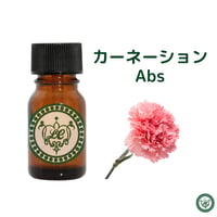 カーネーション　Abs　【管理番号G】