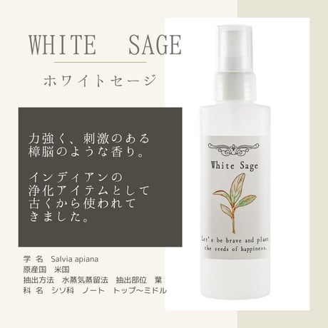 浄化スプレー 100ml