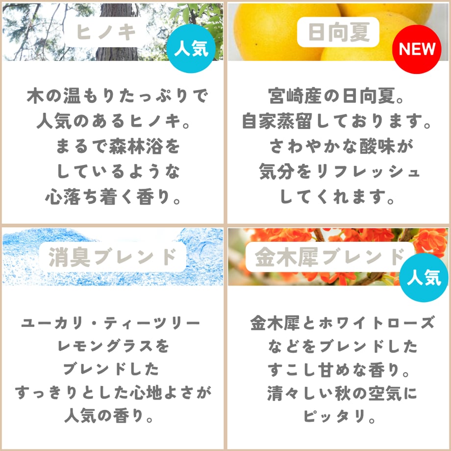 661c858127538300345506a8
