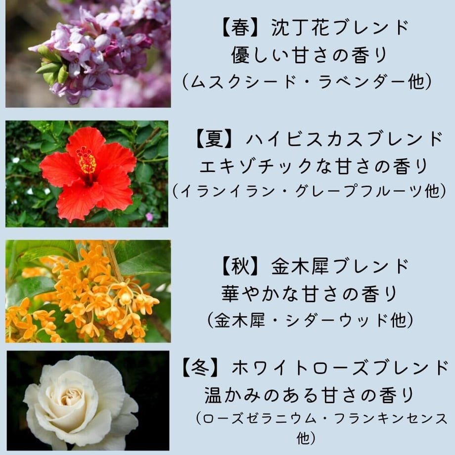 62ae92c40ebded15d58ca094