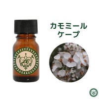 カモミール ケープ　精油 エッセンシャルオイル