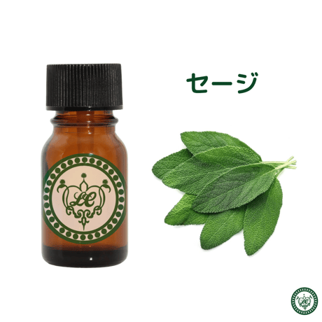 セージ　コモンセージ　精油 エッセンシャルオイル