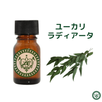 ロードデンドロン（西洋シャクナゲ） 精油 エッセンシャルオイル | LC