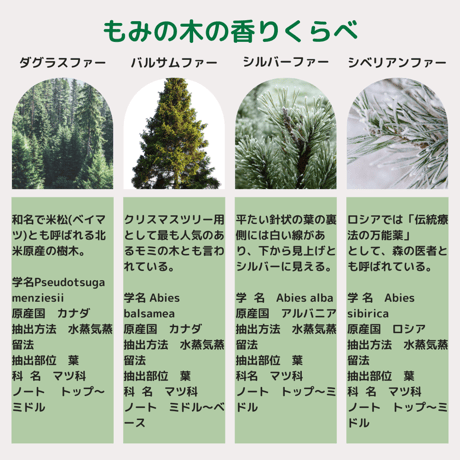 くらべる精油　もみの木4種　エッセンシャルオイル