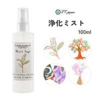 浄化スプレー 100ml