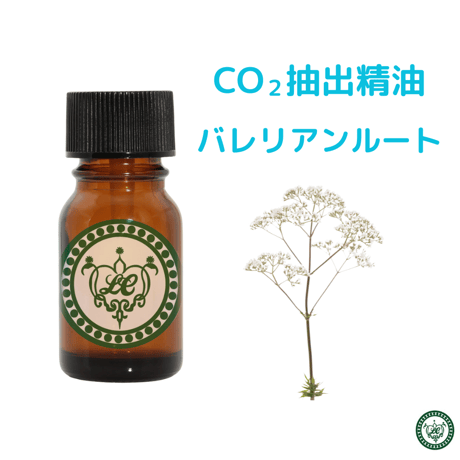 CO2抽出精油 バレリアン　バレリアンルート