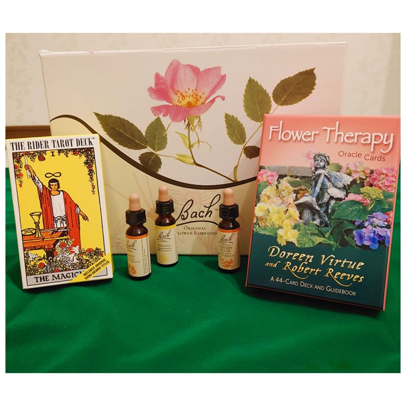 フラワーボックス バッチフラワーレメディ40本 フラワーエッセンス