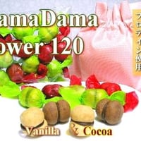 DamaDama パワー バニラ＆ココア 120個