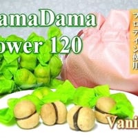 DamaDama パワー バニラ 120個