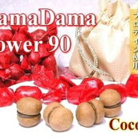 DamaDama パワー ココア 90個