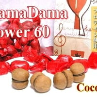 DamaDama パワー ココア 60個