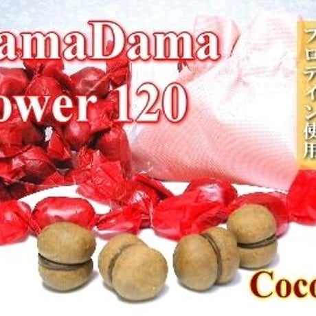 DamaDama パワー ココア 120個