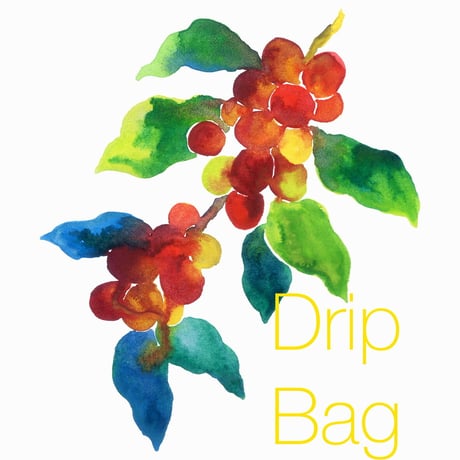 ドリップバッグ  お徳用 (20個入り)