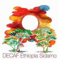 【DECAF】Ethiopia Sidamo 200g (中深煎り)