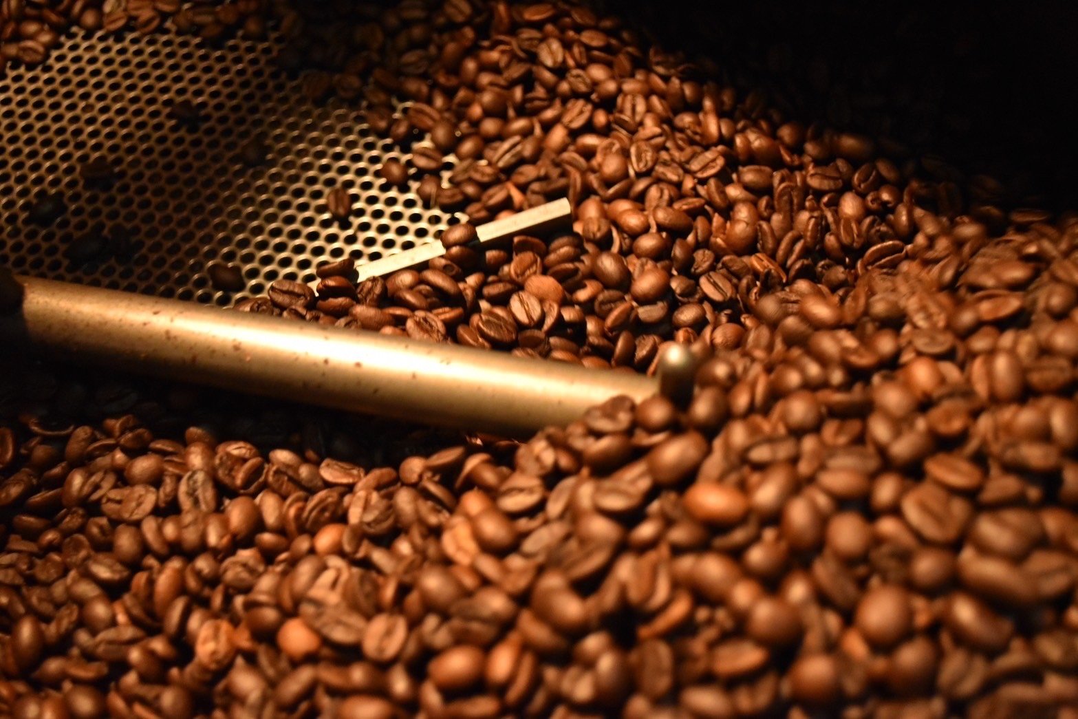 常盤松 blend 500g ダブルトールカフェ焙煎所直送絶品珈琲豆 | doubleta