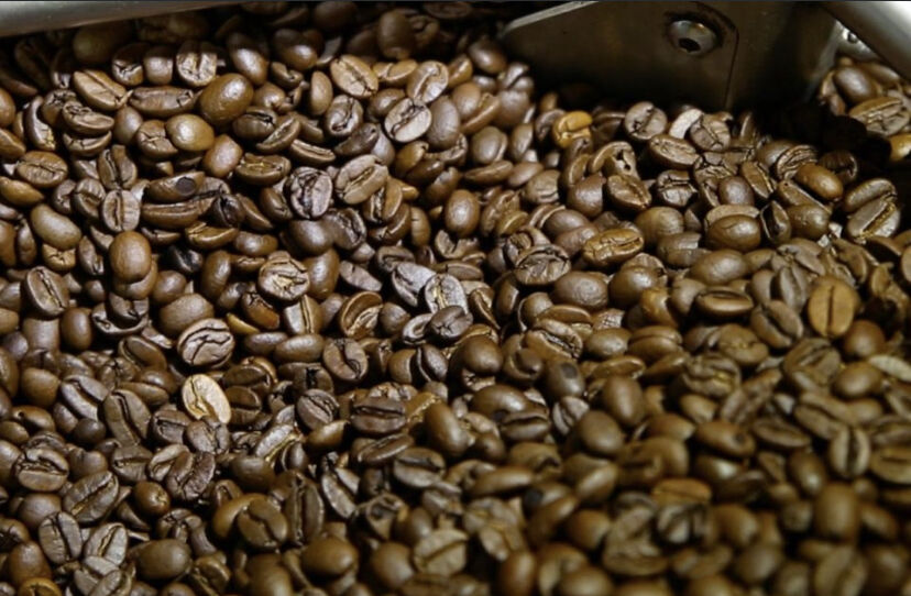 コスタリカ coral-mountain 500g ダブルトールカフェ焙煎所直送絶品