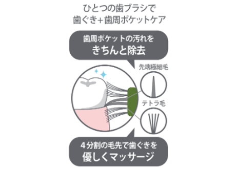 【8本セット】mon seule(モンスール)　歯と歯ぐきケア用歯ブラシ