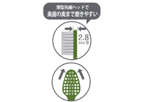 【8本セット】mon seule(モンスール)　歯と歯ぐきケア用歯ブラシ
