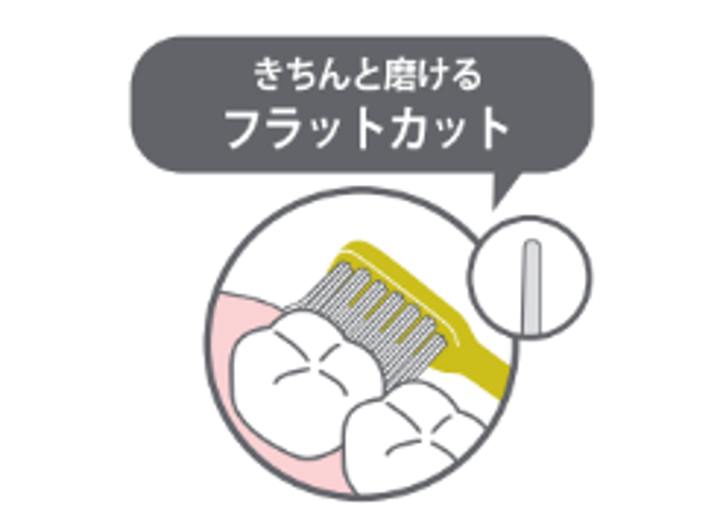 8本セット】mon seule(モンスール) きちんと奥歯ケア用-ソフト