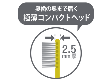 【8本セット】mon seule(モンスール) きちんと奥歯ケア用-ソフト 歯ブラシ
