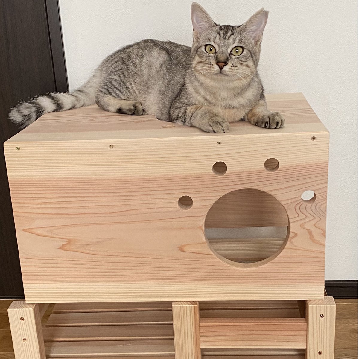 猫ちゃんトンネル付き動物用ベッドNo.2 | コトノ葉