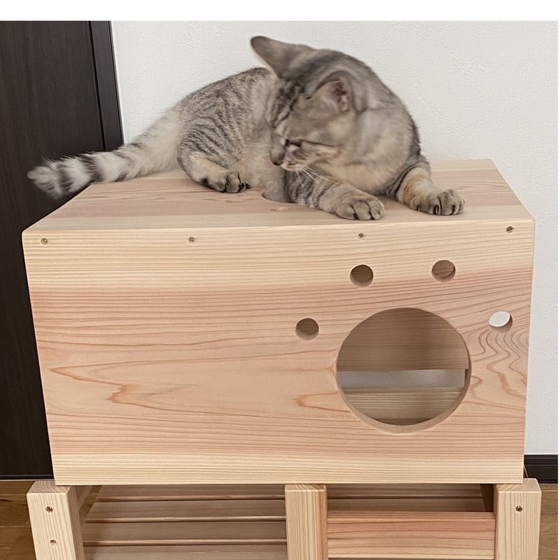 猫ちゃんトンネル付き動物用ベッドNo.2 | コトノ葉