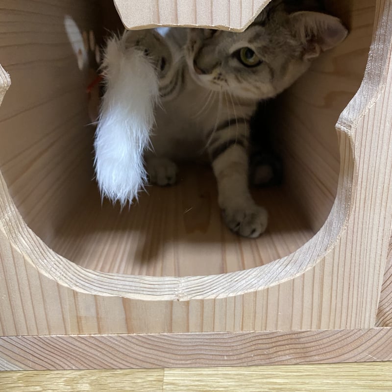 猫ちゃん専用 猫ちゃん専用 猫ちゃん カード検索 ｜ Z/X - Zillions of enemy