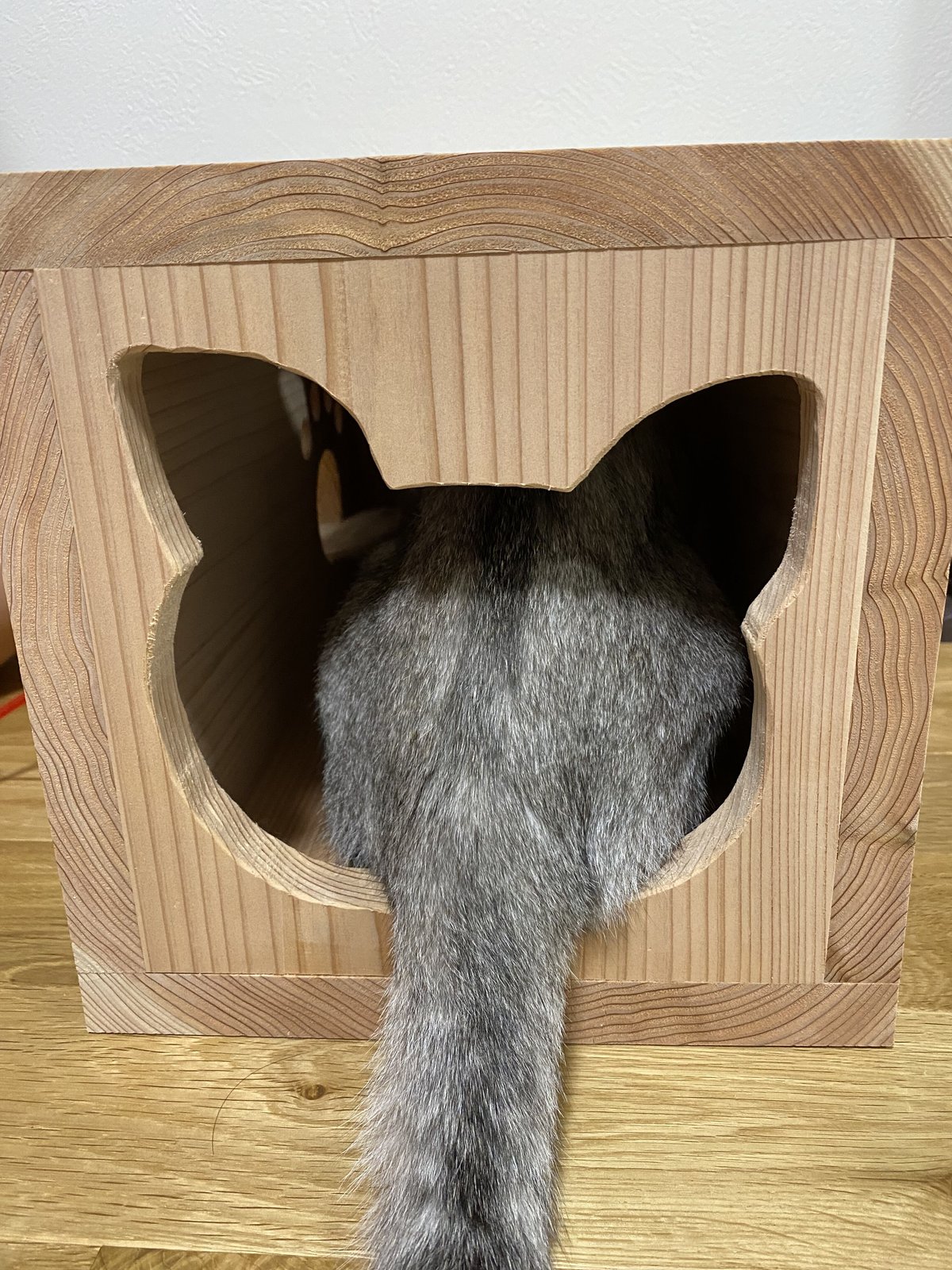 猫ちゃんの秘密基地　アカシア材　No,2　　　猫ハウス ペットハウス 屋外 外猫ハウス 雨よけ キャットハウス 猫 ハウス