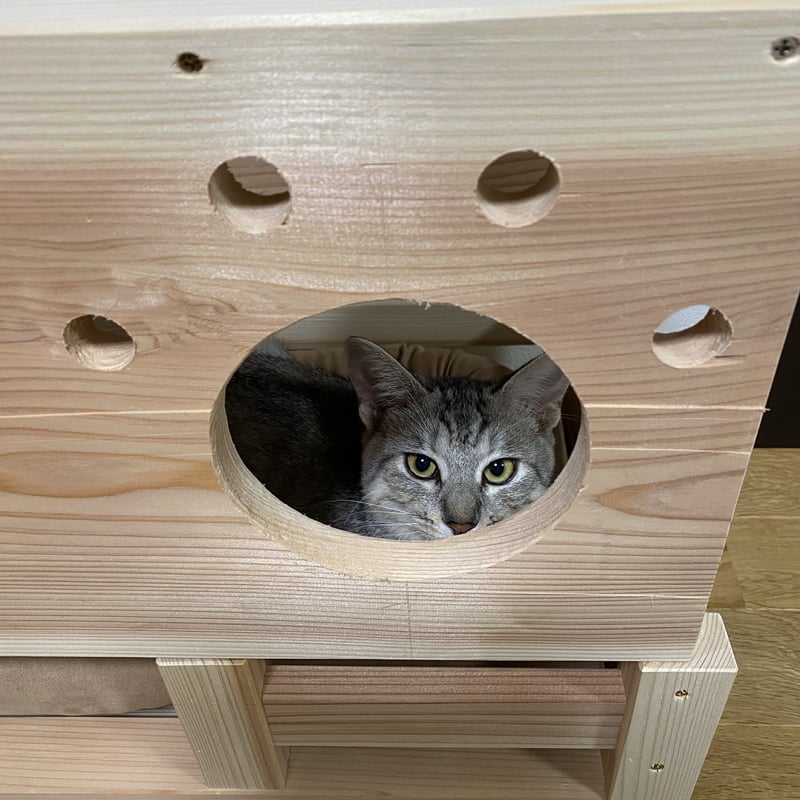 猫ちゃんトンネル付き動物用ベッドNo 2