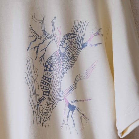 八重山 | STORES