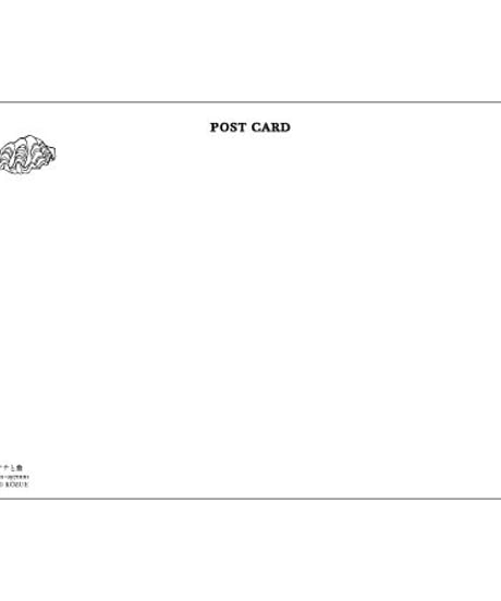 【POSTCARD】イグアナと象