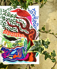 【POSTCARD】花鳥風海