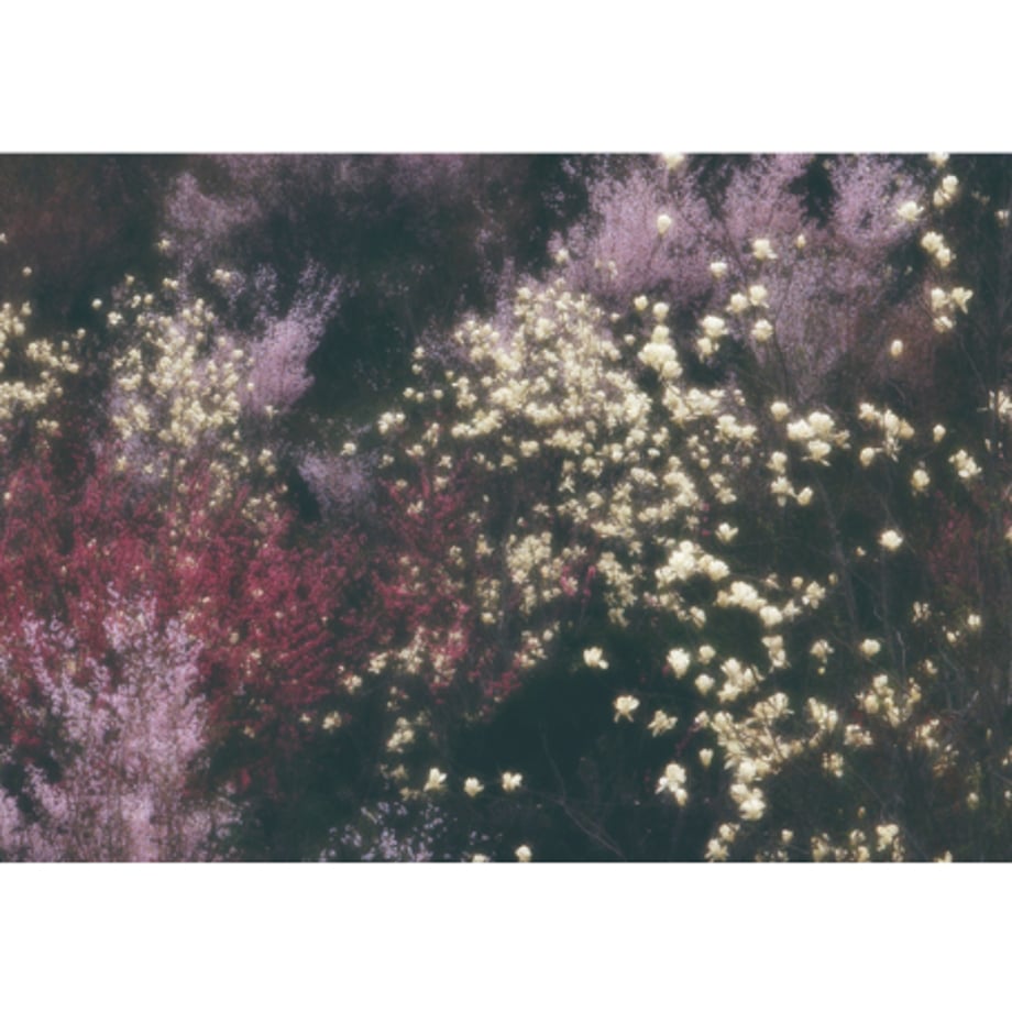 65f93b4a7081090654886ecf
