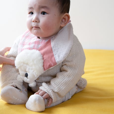 053 stanigi koala フルーツサック付き