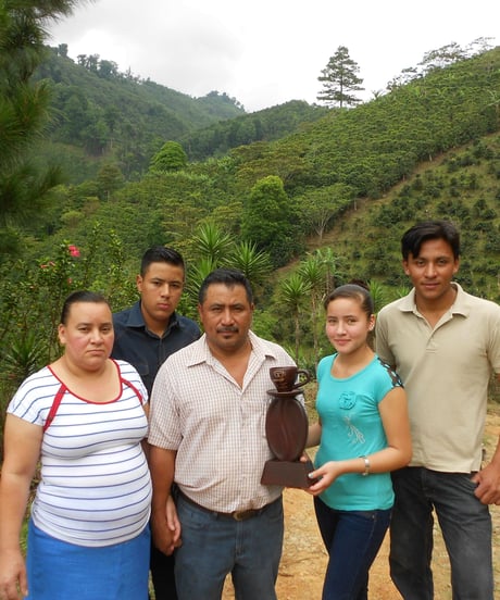 HONDURAS El Laurel Parainema Washed