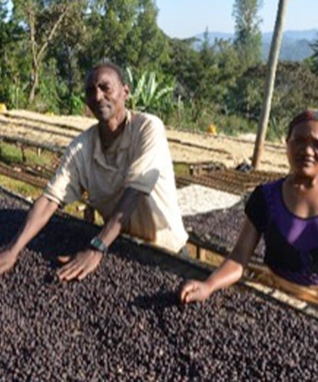 ETHIOPIA Aricha  Natural