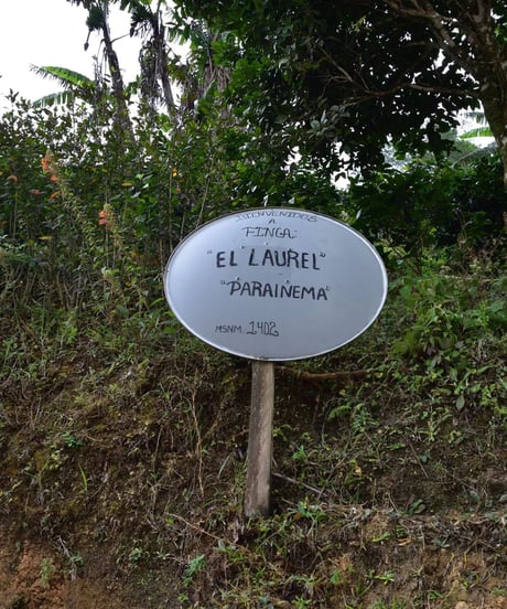 HONDURAS El Laurel Parainema Washed
