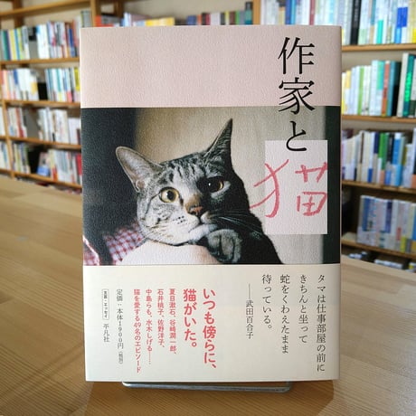 作家と猫