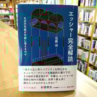 エッシャー完全解読――なぜ不可能が可能に見えるのか