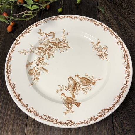 Creil et Montereau SILVA コンポティエ