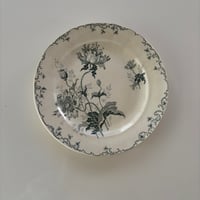 Choisy le Roi 'PAVOTS' ディナープレートB