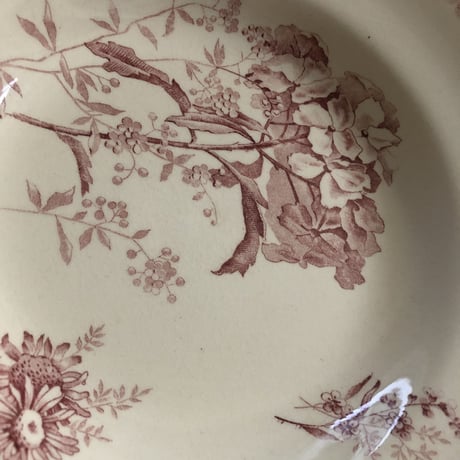 Choisy le Roi （HB&Cie）スーププレートB