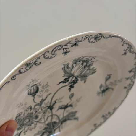 Choisy le Roi 'PAVOTS' ディナープレートA