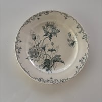 Choisy le Roi 'PAVOTS' ディナープレートA